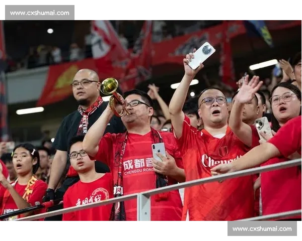 七年磨一剑：成都蓉城从三级跳迈向亚冠正赛